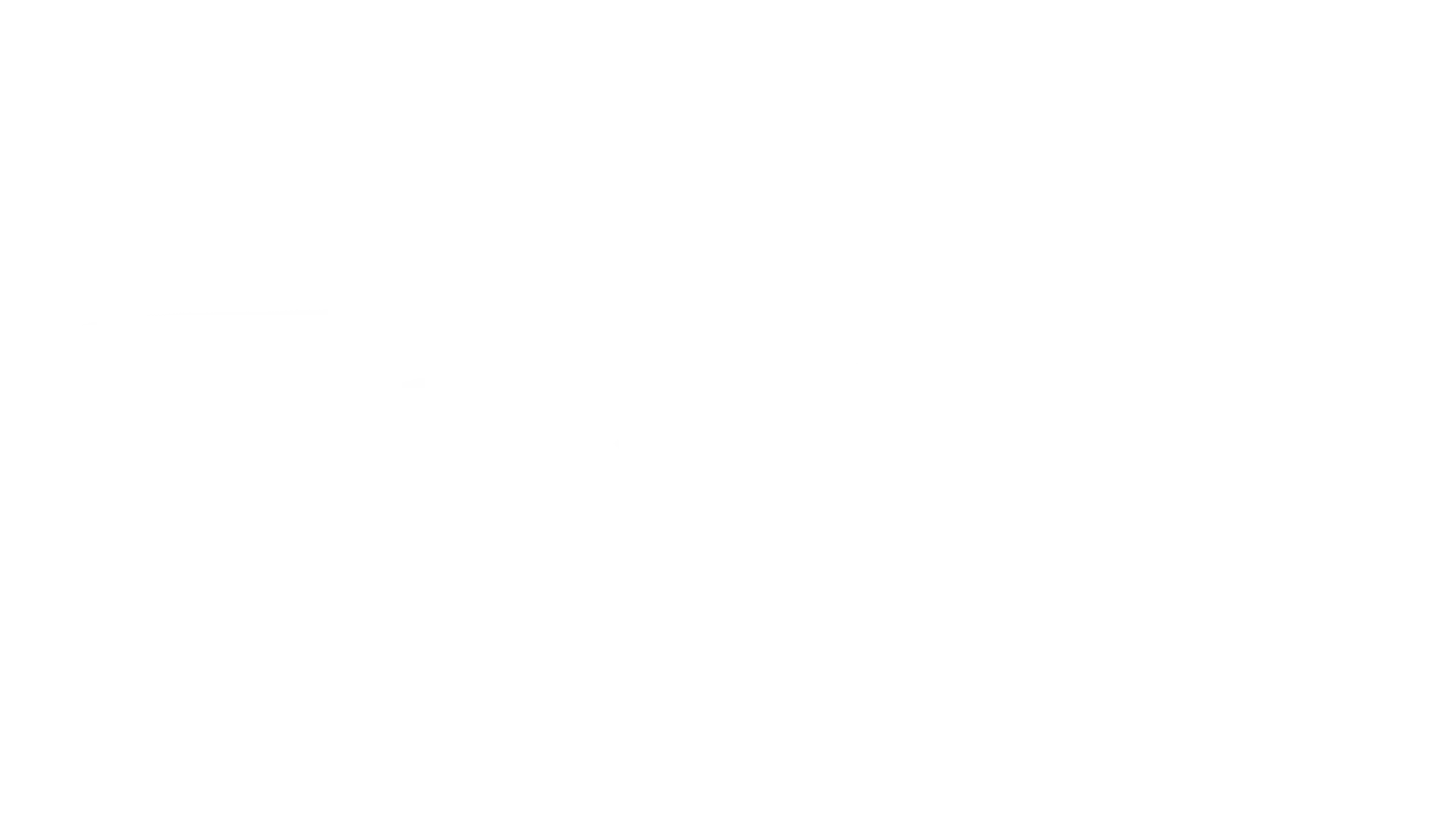 Brush-blanc-divider-ilycoach Brush-blanc-divider-ilycoach