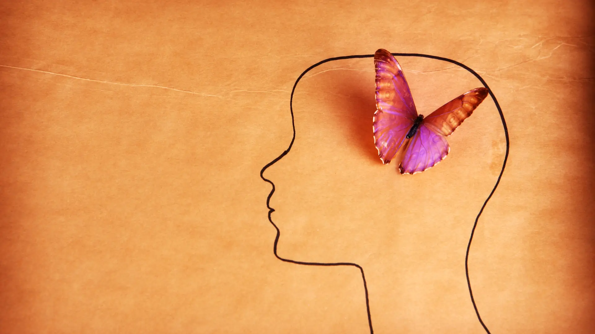 santé-mentale-grande-cause-nationale-2026-ilycoach